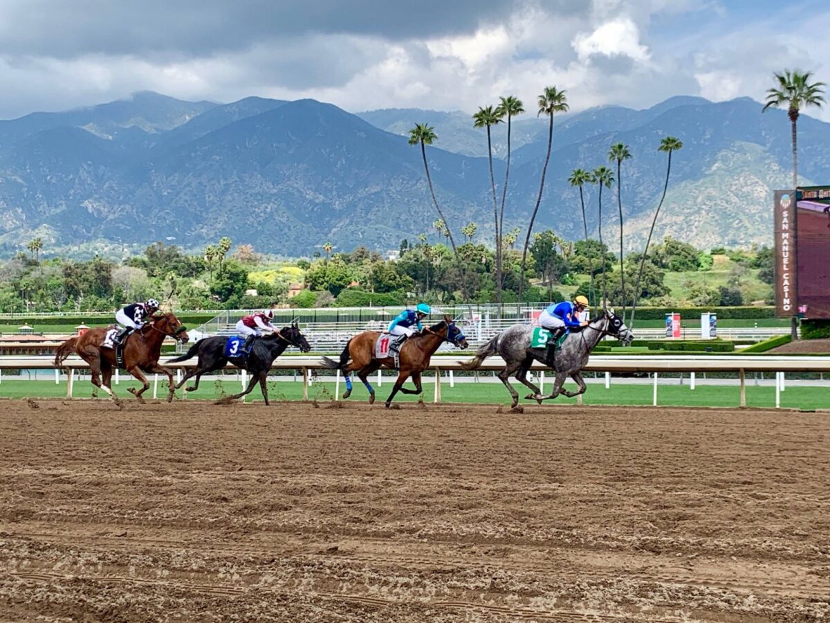 LOS ALAMITOS  THOROUGHBRED DIARIO