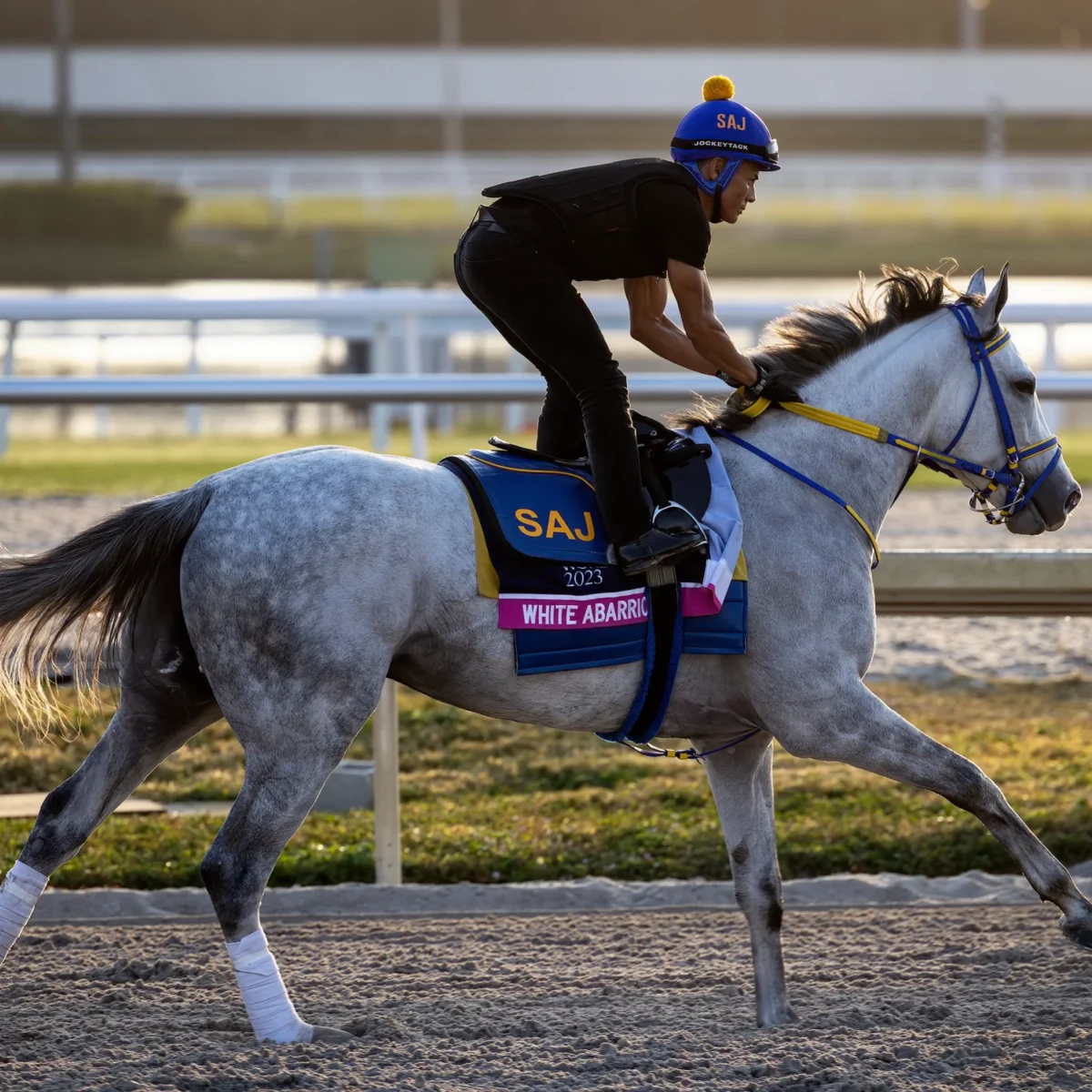 GULFSTREAM PARK CLOCKER REPORT - Imagen 2