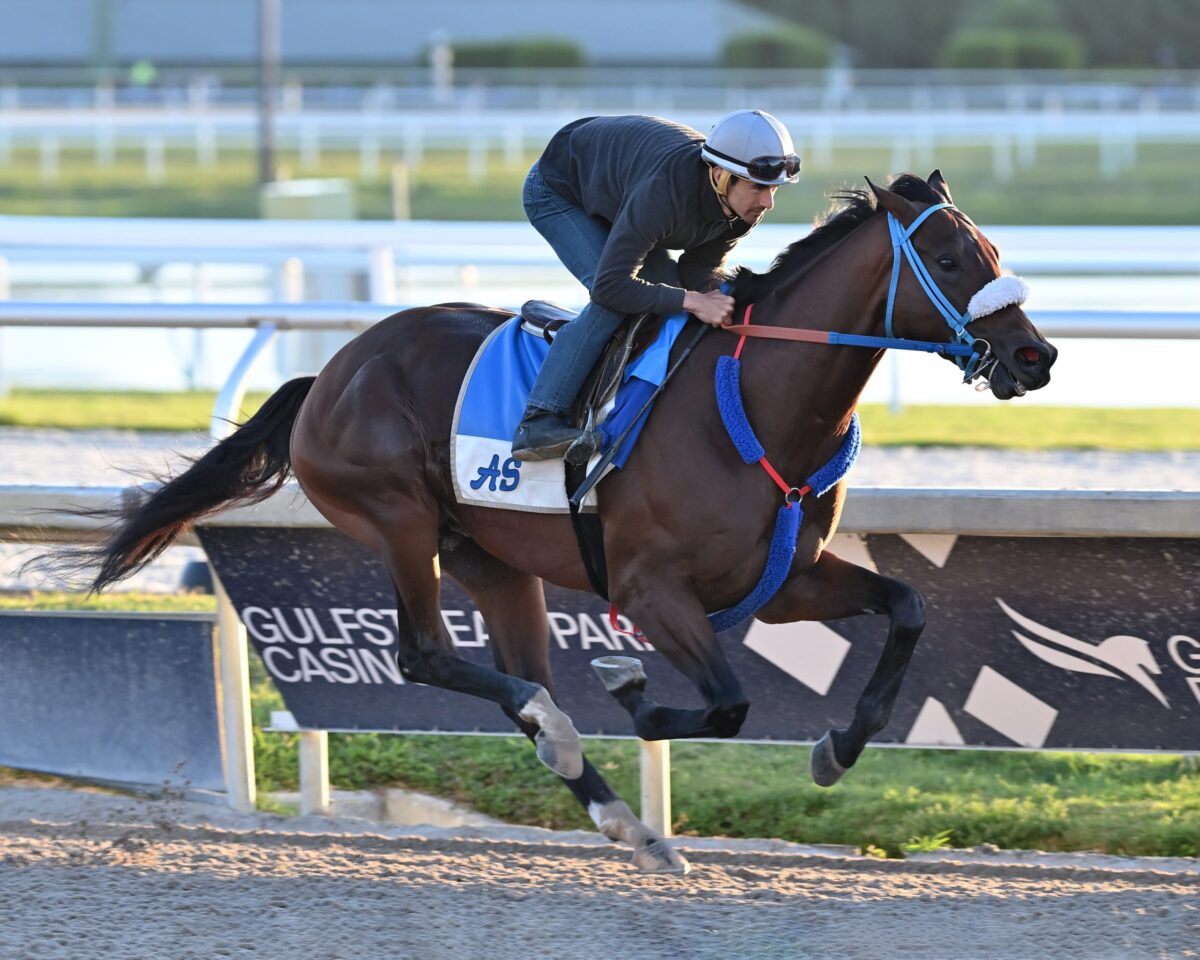 GULFSTREAM PARK CLOCKER REPORT
