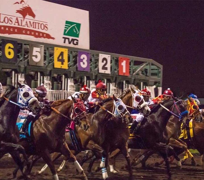 LOS ALAMITOS QUARTER HORSE SEMANAL