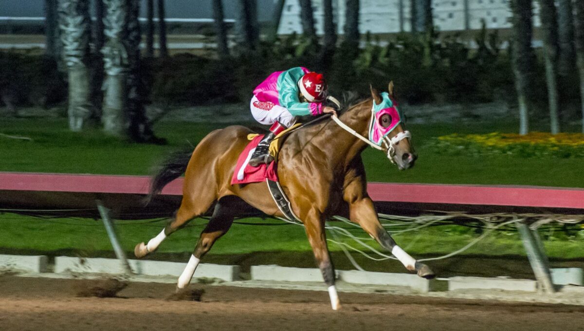 LOS ALAMITOS QUARTER HORSE DIARIO