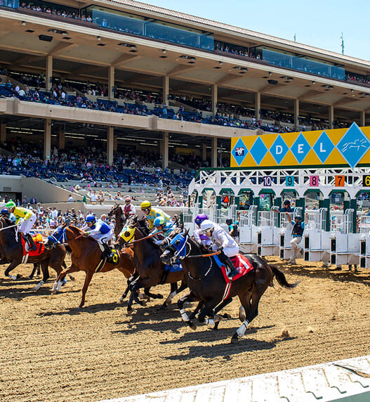 GATE OPENING DAY 1 1