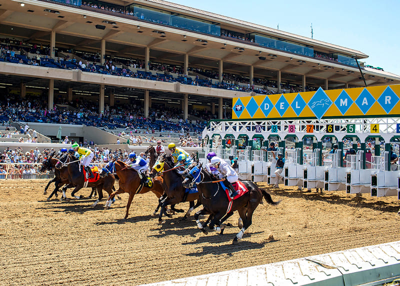 GATE OPENING DAY 1 1