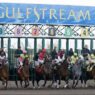 Gulfstream Park 615 X 400 orig