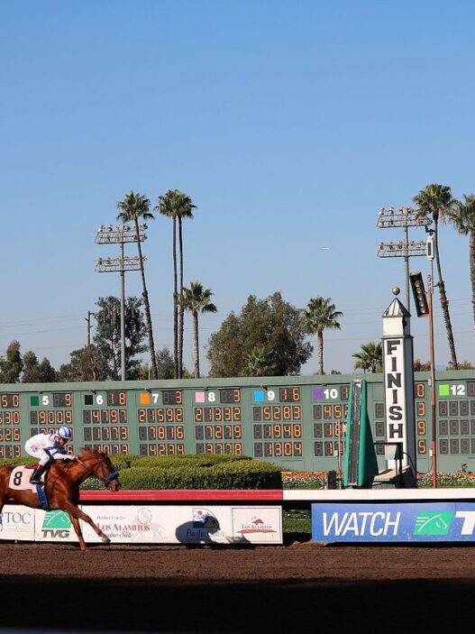 Los Alamitos track 2016 14 2