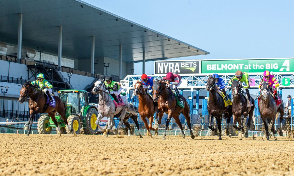 ASESORAMIENTO PERSONALIZADO NYRA (La cancha habla)
