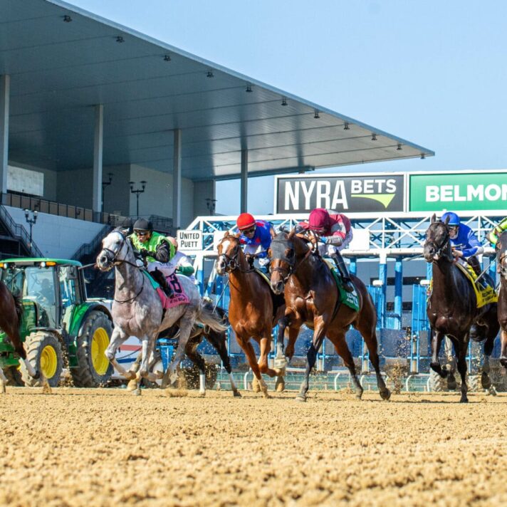 ASESORAMIENTO PERSONALIZADO NYRA (La cancha habla)