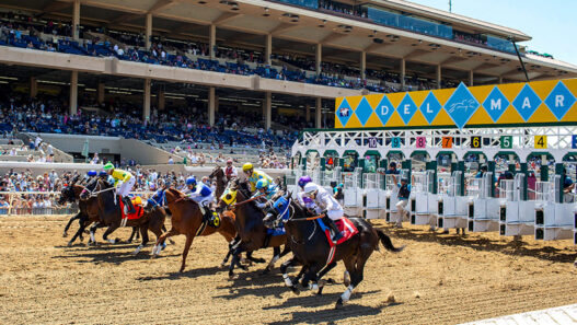 GATE OPENING DAY 2