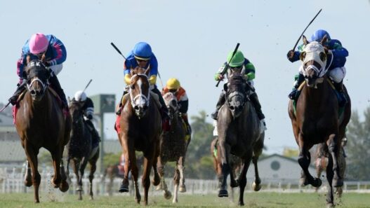 Gulfstream Park Turf Action Ryan Thompson 760x520 1