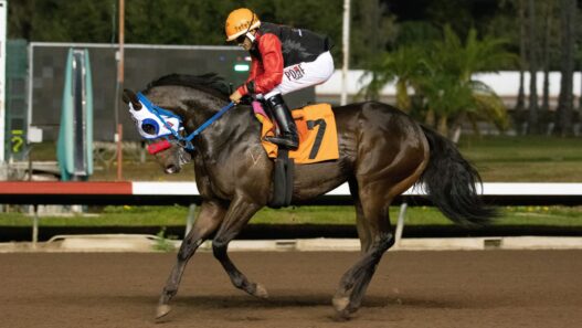 Los Alamitos Super Derby Trial A Pollitical Candy V returns1 8