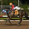 Los Alamitos Super Derby Trial A Pollitical Candy V returns1 8