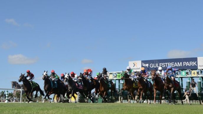 1st race opening day Quick Enough3 e1585164681345