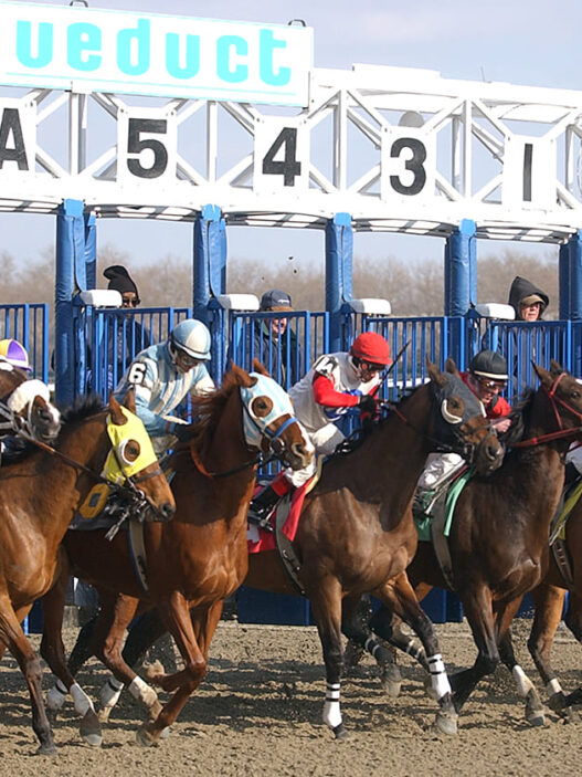 Aqueduct scenic start gate sign PRINT Coglianese 2