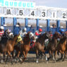 Aqueduct scenic start gate sign PRINT Coglianese 2