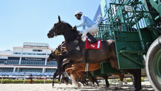 Gulfstream Park Start Ryan Thompson Coglianese Photos 1 1