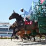 Gulfstream Park Start Ryan Thompson Coglianese Photos 1 1