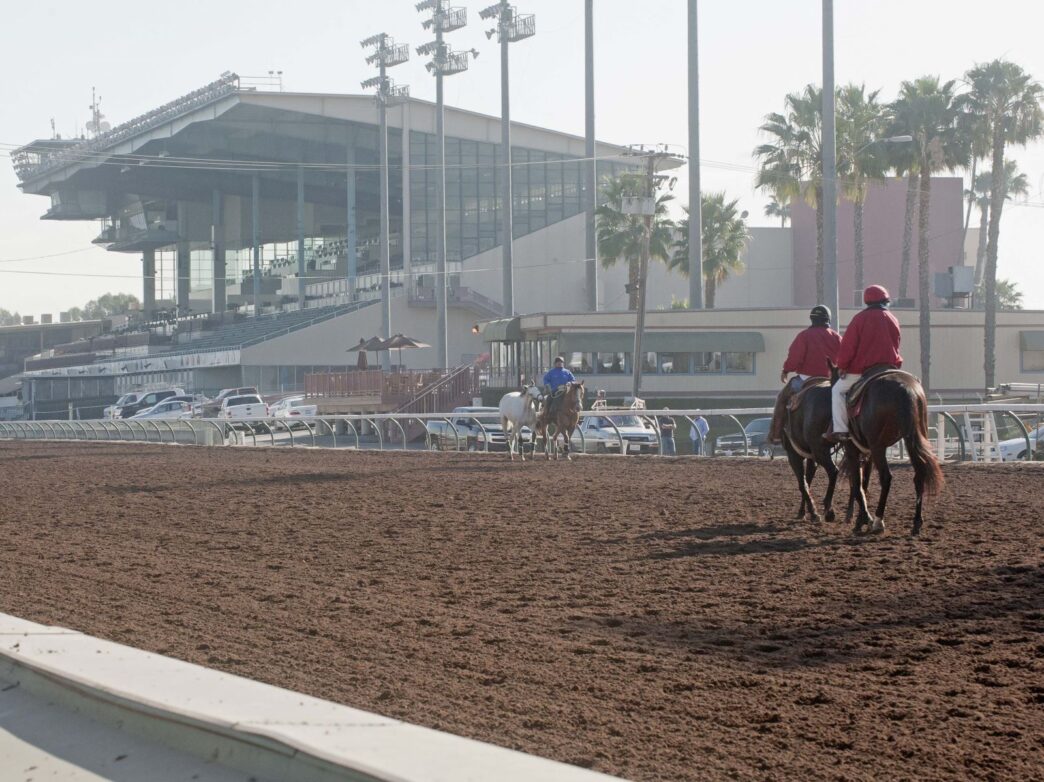 Horses working out on new track 7