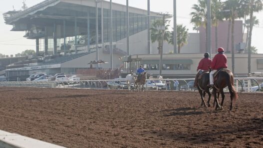 Horses working out on new track 7