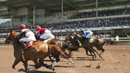 racing at los alamitos