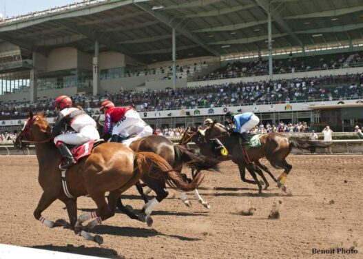 racing at los alamitos