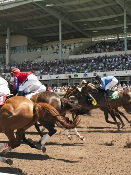 racing at los alamitos