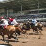 racing at los alamitos