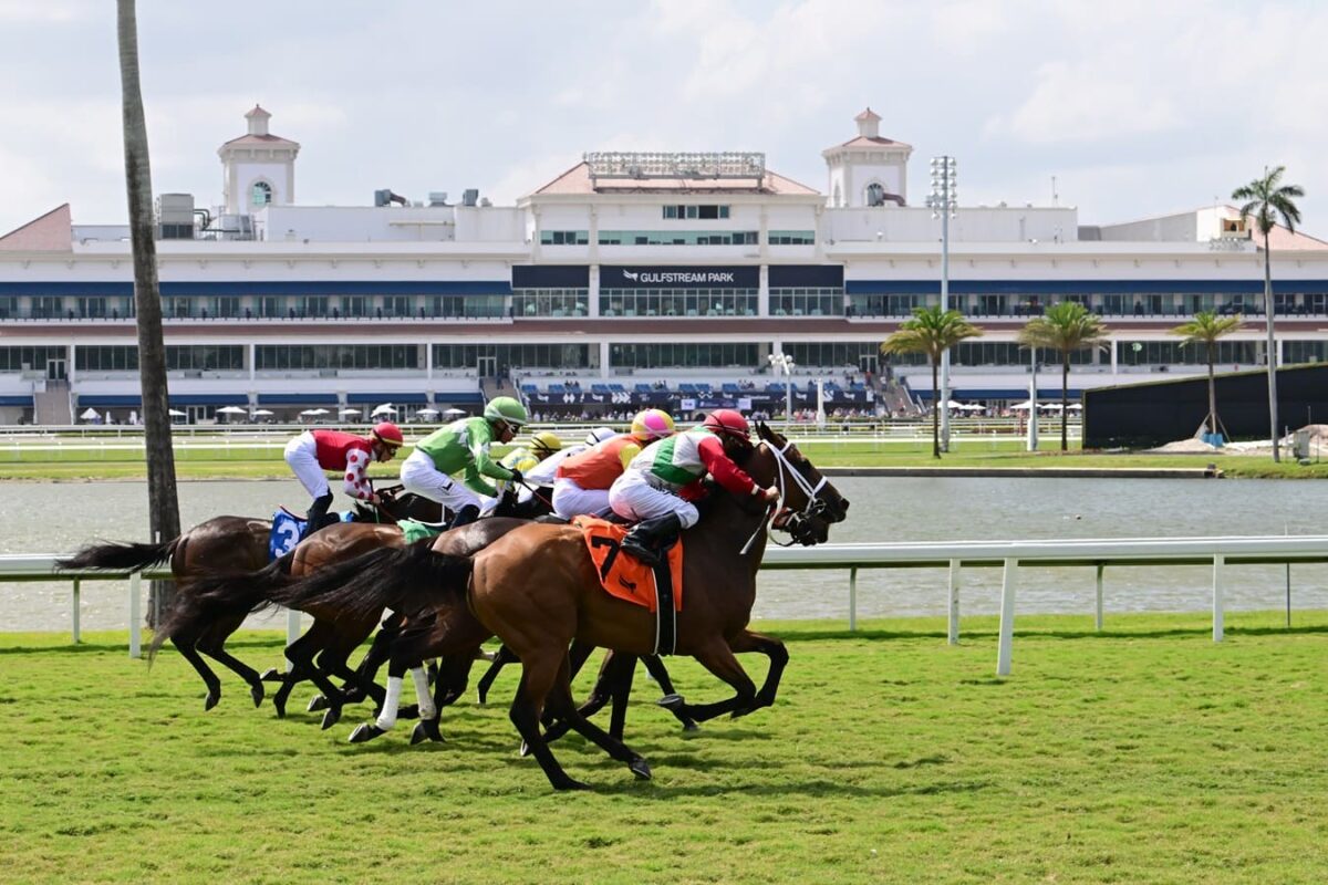 PLAN PROFESIONAL (Gulfstream, Saratoga, Del Mar)