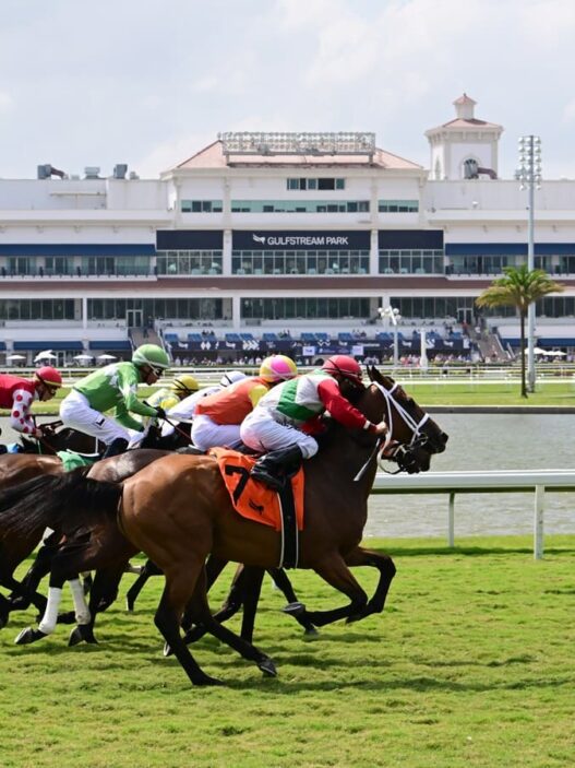 Gulfstream scenic Coglianese Photo 1