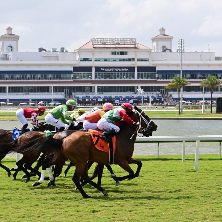 PLAN PROFESIONAL (Gulfstream, Saratoga, Del Mar)